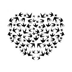 Coeur form&eacute; par des oiseaux
