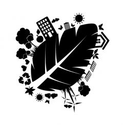 Feuille &eacute;cologie