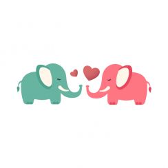 Couple d'&eacute;l&eacute;phants