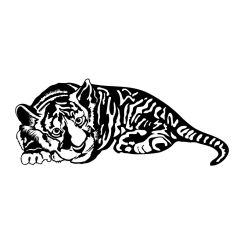 Jeune tigre allong&eacute;