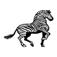 Z&egrave;bre
