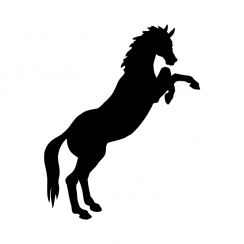 Cheval cabr&eacute;