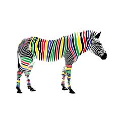 Z&egrave;bre color&eacute;