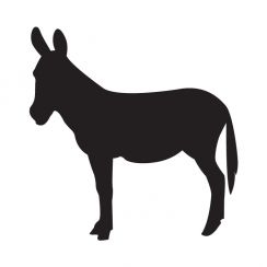 &Acirc;ne catalan