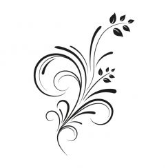 D&eacute;licate arabesque