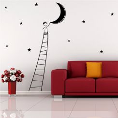 D&eacute;crocher la lune