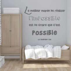 R&eacute;aliser l'impossible