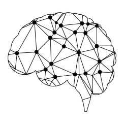 R&eacute;seau de neurones