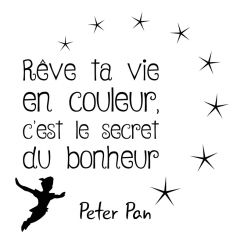 Peter Pan : r&ecirc;ve ta vie en couleur