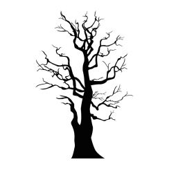 Arbre sans feuilles