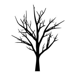 Arbre et ses branches d&eacute;nud&eacute;es