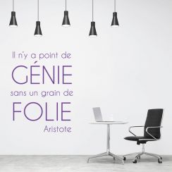 Point de g&eacute;nie sans folie