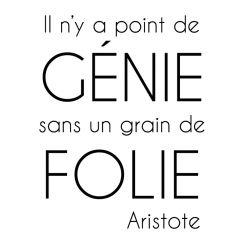 Point de g&eacute;nie sans folie