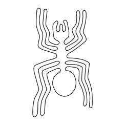 Araign&eacute;e de Nazca