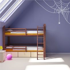 Toile et araign&eacute;e qui pend au bout d'un fil