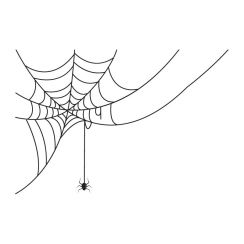 Toile et araign&eacute;e qui pend au bout d'un fil