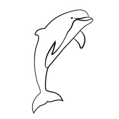 Dauphin qui saute de l'eau