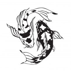 Carpes Ko&iuml;