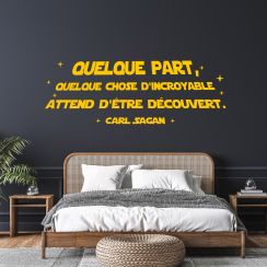 Carl Sagan : quelque part, quelque chose d'incroyable attend d'&ecirc;tre d&eacute;couvert. 