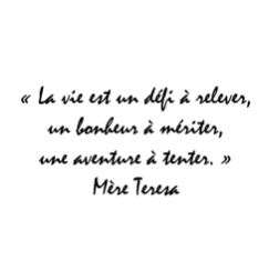 M&egrave;re Teresa "La vie..."