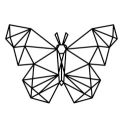 Papillon G&eacute;om&eacute;trique