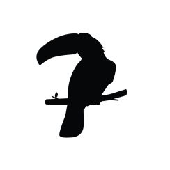 Toucan Tropicale